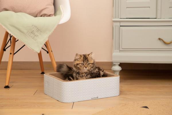 beeztees Kratzkorb Kero 2 in 1 - Kratzpappe und Katzenbett